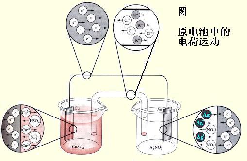 电化学午夜成人激情视频